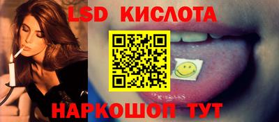 2c-b Кингисепп