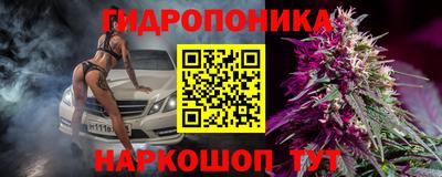 СК Кимры