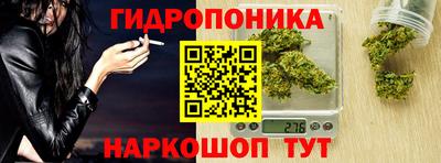 2c-b Кингисепп