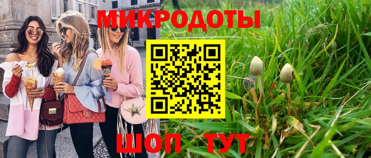 Вышний Волочёк  Псилоцибиновые грибы прущие грибы  Вход с VPN 
