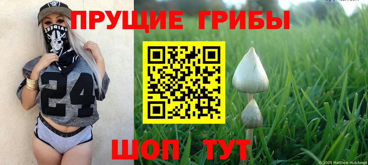 Псилоцибиновые грибы GOLDEN TEACHER Вышний Волочёк